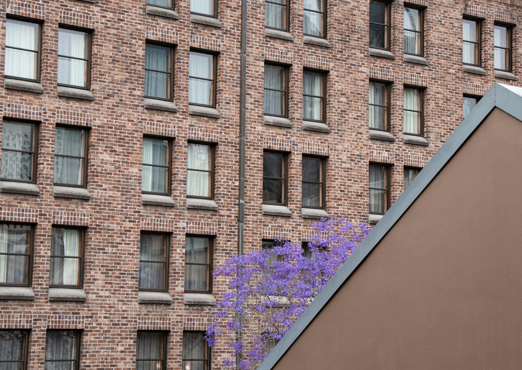 The Complete Strata Due Diligence Checklist for NSW Buyers